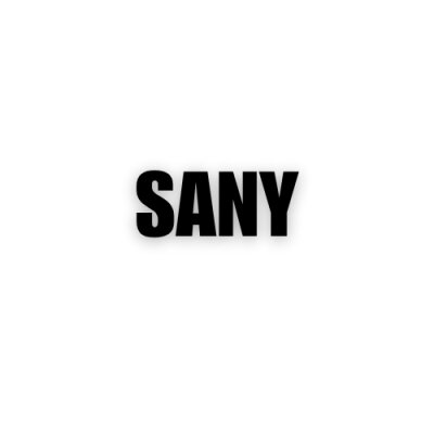 Sany