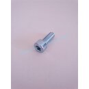 Zylinderschraube für Wacker DPU 5545H Motor Hatz