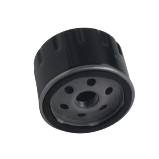 Ölfilter für Ausa 108 DH Motor Hatz