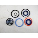 Dichtsatz für Hubzylinder 7137771 für Bobcat M 371