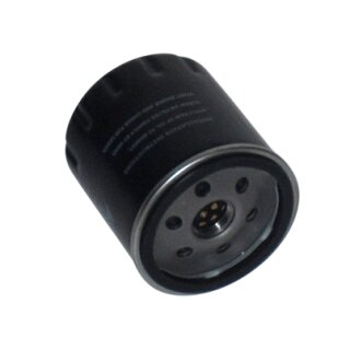 Ölfilter für Messersi CH-2/R 16 Motor Briggs & Stratton 303447