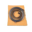 Spiralfeder für Weber CR 3 Motor Hatz 1B20
