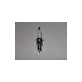 Zündkerze für Weber SRV 65 Motor Robin EH 12-2