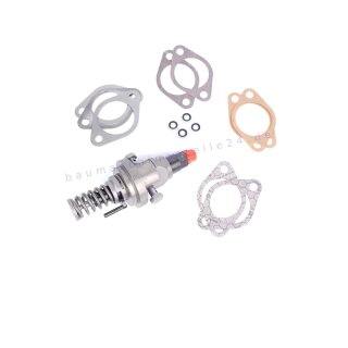 Einspritzpumpe für Hatz 1D81Z